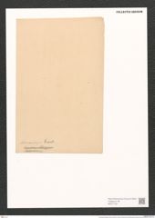 Cocconeis arramiensis Grev. (de-Toni-Nr.: Genus 40, Species 1879) Zeichnungen Sammlung Grunow (NHMW-BOT-W0371331)